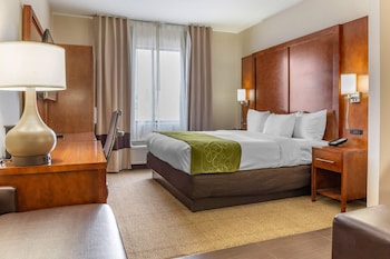 Suite, 1 King Bed with Sofa bed, Accessible, Non Smoking