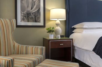 Room, 1 King Bed, Accessible