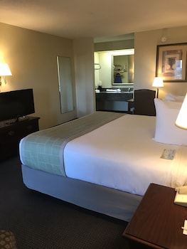 Room, 1 King Bed, Accessible, Non Smoking
