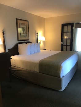 Suite, 1 King Bed, Non Smoking (One-Bedroom)