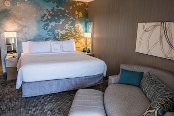 Room, 1 King Bed with Sofa bed