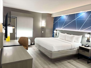 Room, 1 King Bed, Non Smoking