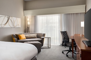 Room, 1 King Bed with Sofa bed