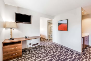 Studio Suite, 1 Queen Bed, Non Smoking