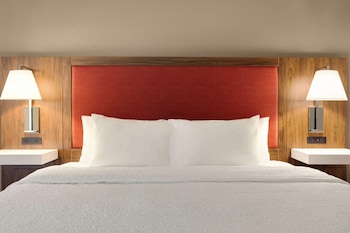Room, 1 King Bed with Sofa bed, Non Smoking, Refrigerator & Microwave