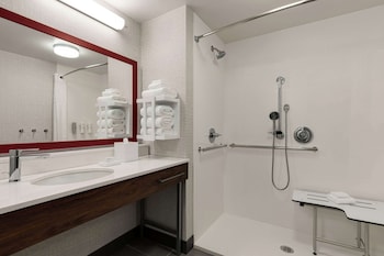 Room, 1 King Bed, Accessible, Non Smoking (Roll-In Shower)