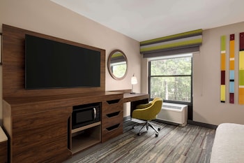 Room, 1 King Bed, Accessible, Non Smoking (Roll-In Shower)