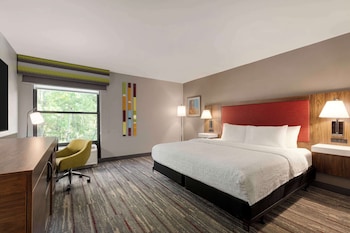 Room, 1 King Bed, Accessible, Non Smoking (Roll-In Shower)