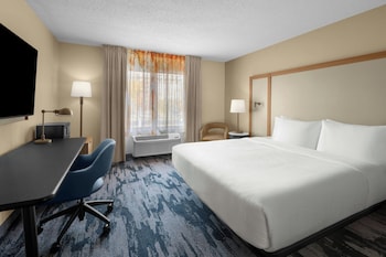 Room, 1 King Bed, Roll-in Shower
