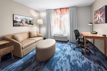 Room, 1 King Bed with Sofa bed