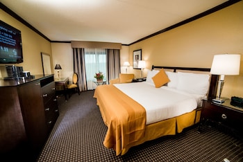 Standard Room, 1 King Bed (1 King Bed)