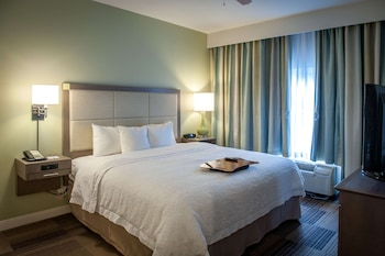Suite, 1 King Bed with Sofa bed, Accessible, Bathtub (Wet Bar)