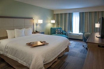 Room, 1 King Bed