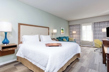Room, 1 King Bed with Sofa bed, Non Smoking, Refrigerator & Microwave