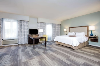 Studio, 1 King Bed, Non Smoking (Shower Only)