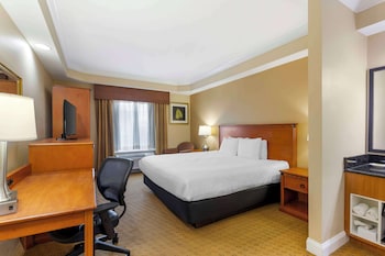 Standard Room, 1 King Bed, Accessible, Non Smoking