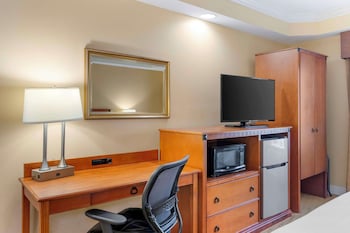 Standard Room, 1 King Bed, Accessible, Non Smoking