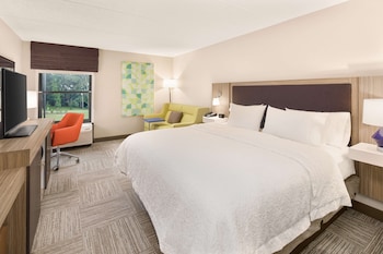 Room, 1 King Bed, Non Smoking, Refrigerator & Microwave