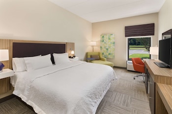 Room, 1 King Bed, Non Smoking