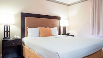 Standard Room, 1 King Bed, Smoking, Refrigerator & Microwave