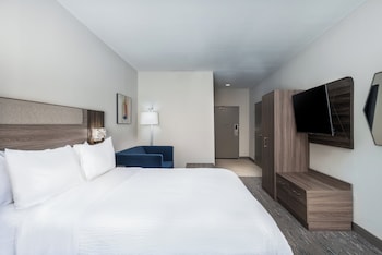 Standard Room, 1 King Bed with Sofa bed