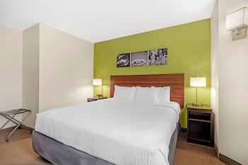 Room, 1 King Bed, Accessible with Accessible Tub, Non Smoking