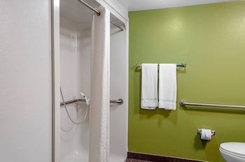 Room, 1 King Bed, Accessible with Roll-In Shower, Non Smoking