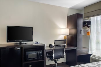 Room, 1 King Bed, Accessible with Roll-In Shower, Non Smoking