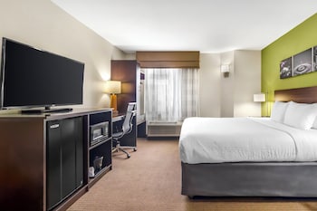 Room, 1 King Bed, Non Smoking