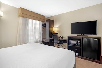 Room, 1 King Bed, Accessible with Roll-In Shower, Non Smoking