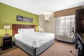Room, 1 King Bed, Accessible with Roll-In Shower, Non Smoking