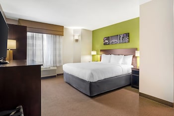 Room, 1 King Bed, Non Smoking