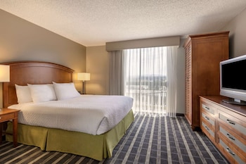 Suite, 1 King Bed, Non Smoking (No Sofa Bed)