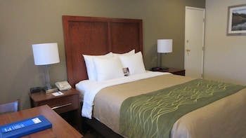 Room, 1 Queen Bed, Accessible, Non Smoking (Efficiency)