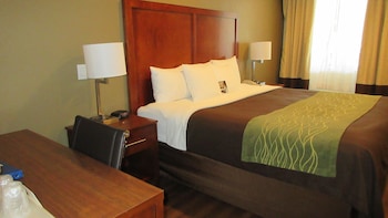 Standard Room, 1 King Bed, Non Smoking