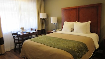 Standard Room, 1 Queen Bed, Non Smoking
