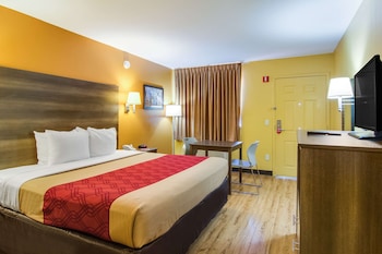 Room, 1 King Bed, Accessible, Non Smoking