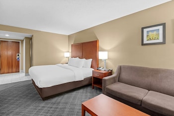 Standard Room, 1 King Bed, Non Smoking