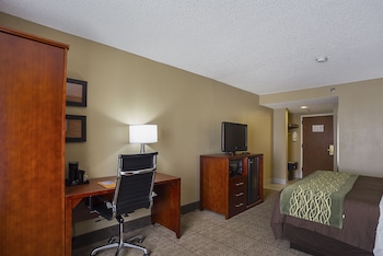 Standard Room, 1 King Bed, Non Smoking