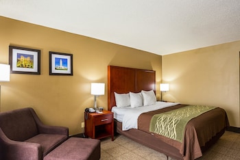 Standard Room, 1 King Bed, Non Smoking