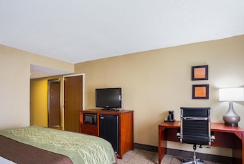 Standard Room, 1 King Bed, Accessible, Non Smoking