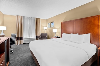 Standard Room, 1 King Bed, Accessible, Non Smoking