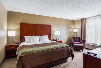 Standard Room, 1 King Bed, Accessible, Non Smoking