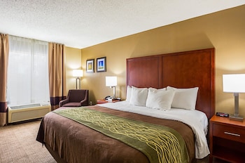 Standard Room, 1 King Bed, Accessible, Non Smoking