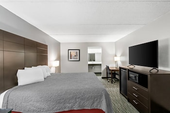 Standard Room, 1 King Bed, Smoking