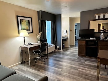 Suite, 1 King Bed, Non Smoking, Refrigerator & Microwave (with Single Sofabed)