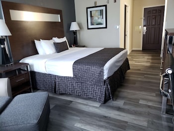 Standard Room, 1 King Bed, Accessible, Non Smoking (Walk-in Shower)