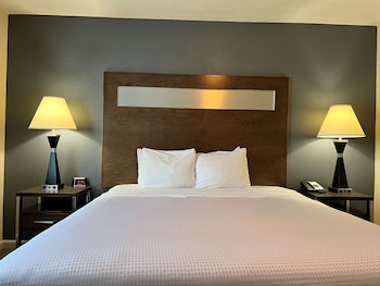 Standard Room, 1 King Bed, Accessible, Non Smoking (Walk-in Shower)