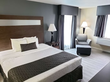 Standard Room, 1 King Bed, Non Smoking, Refrigerator & Microwave