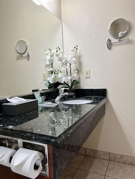 Standard Room, 1 King Bed, Accessible, Non Smoking (Walk-in Shower)